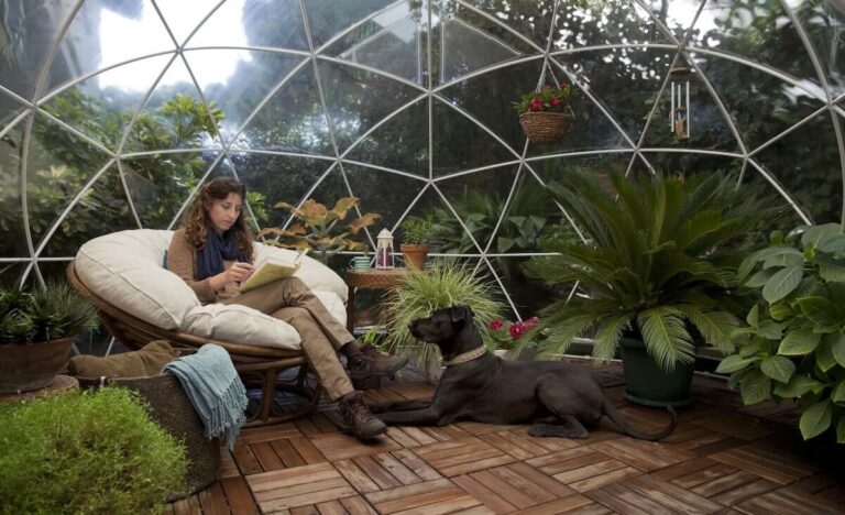 Protection jardin