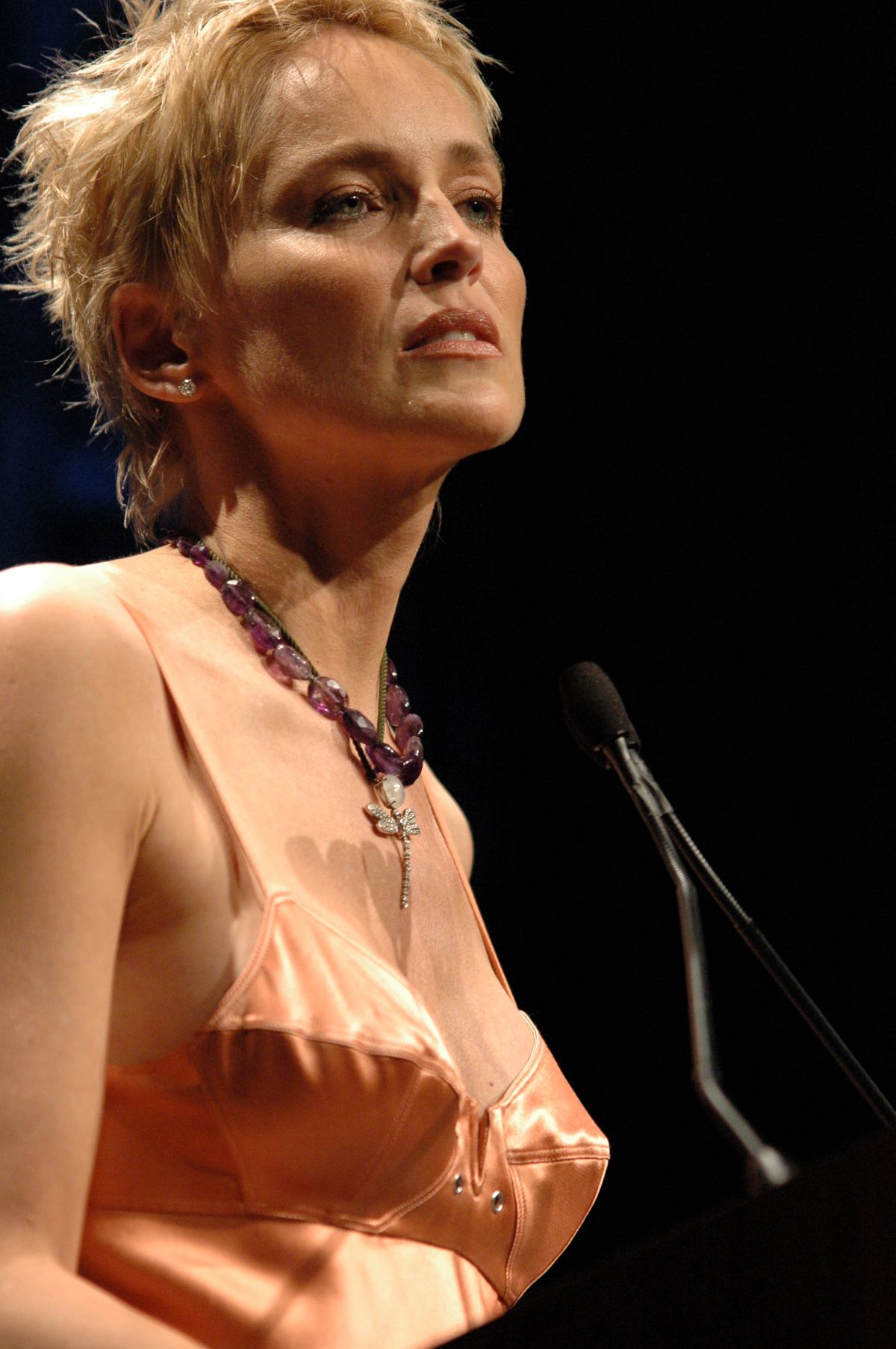 Sharon Stone, l'actrice internationale, déclare souffrir d'une grosse tumeur
