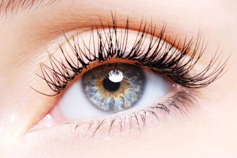 Oeil