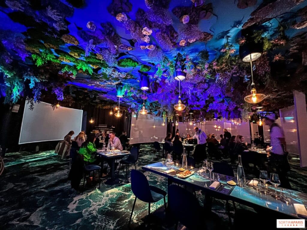 Under the sea