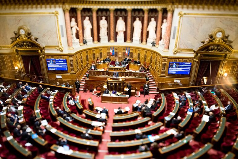 Senat