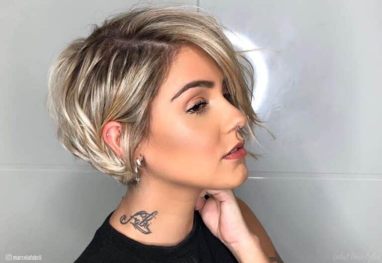 pixie bob