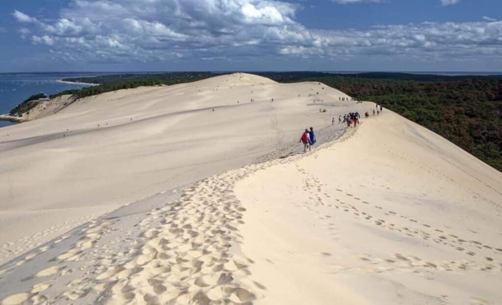Dune pilate