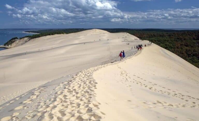Dune pilate