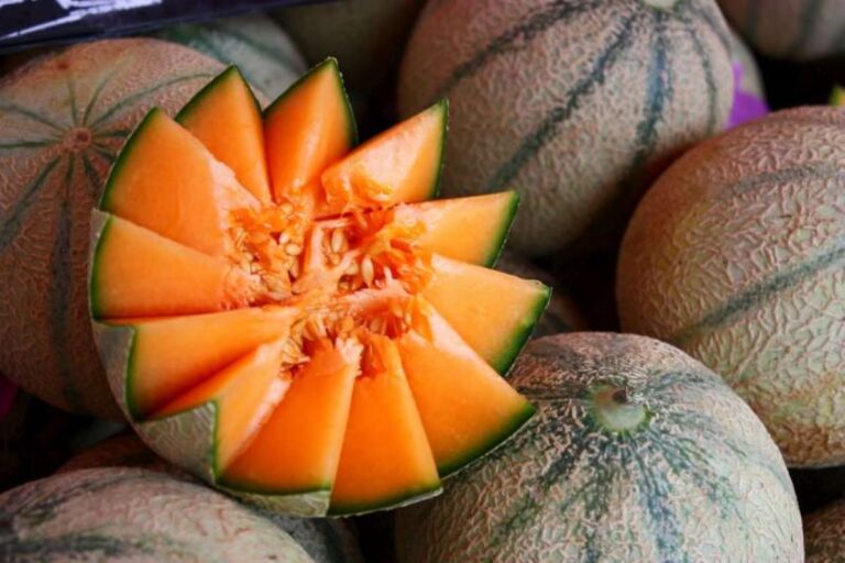 Rappel volontaire melon