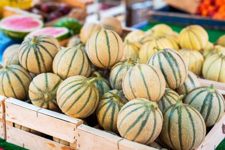 Rappel Melons