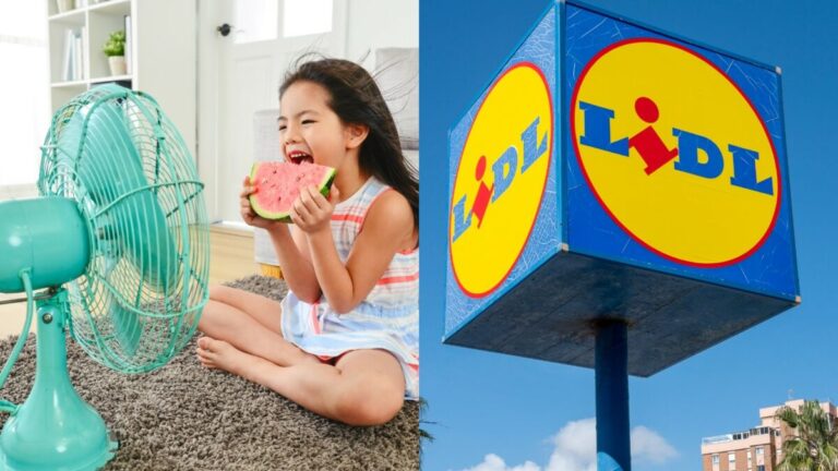 Mini ventilateur Lidl