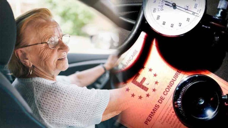 Permis de conduire