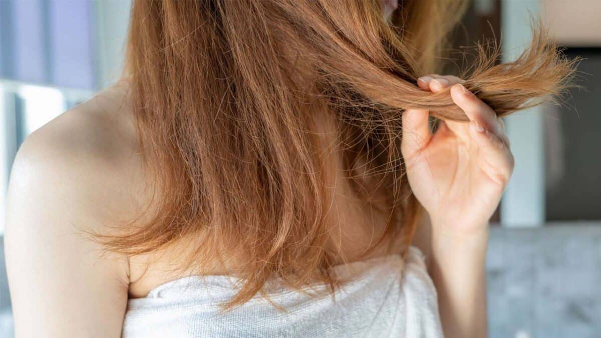 Coiffure: stop aux cheveux qui se cassent, comment les fortifier en quelques jours avec cette solution toute simple