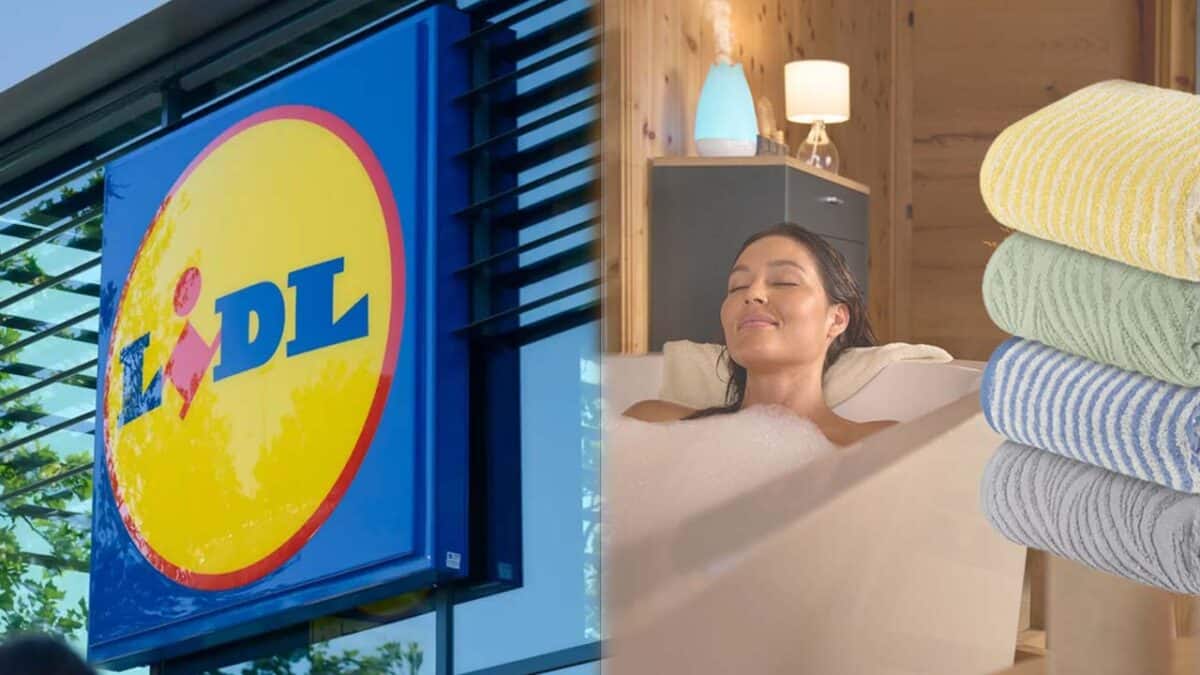 Lidl: fini les serviettes toujours humides avec cette nouvelle gamme innovante qui n’est jamais mouillée