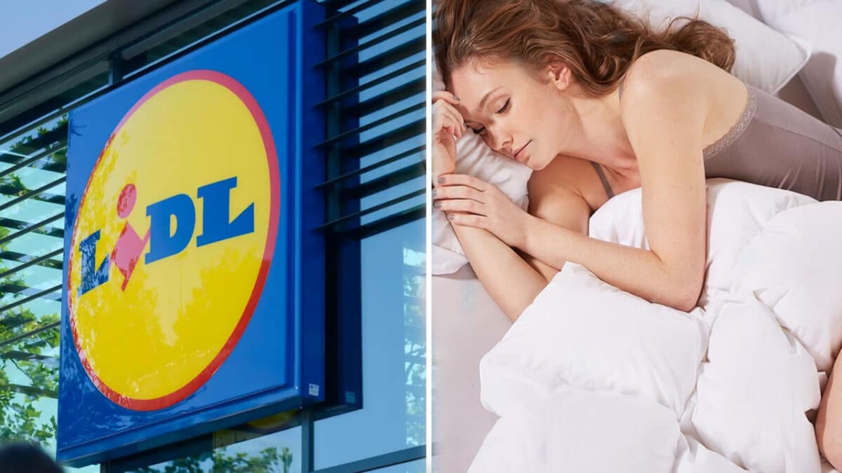 Lidl: fini les couettes à prix d’or, voici le modèle phare de la marque, technique et rapport qualité prix inégalable