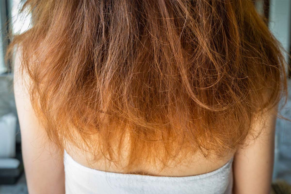 Cheveux secs: quels soins leur apporter pour les réparer? Ce dermatologue vous donne une astuce très efficace