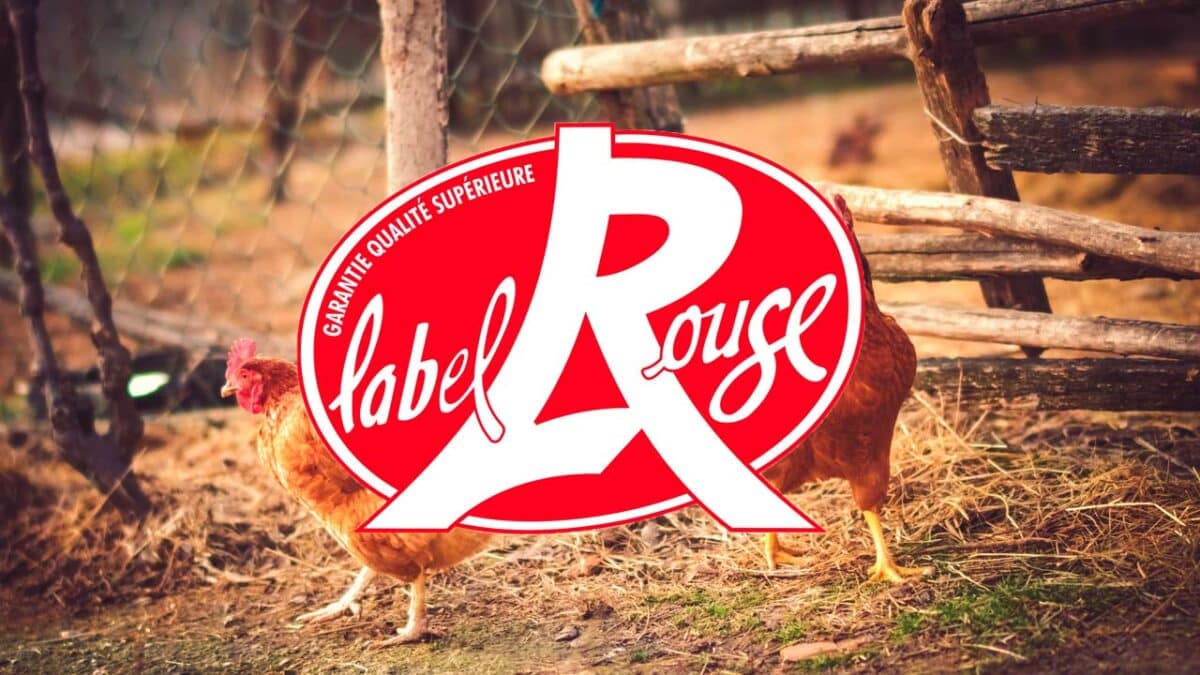 Labels alimentaires : quels sont ceux qui vous arnaquent et quels sont ceux qui protègent réellement les consommateurs et les producteurs ?