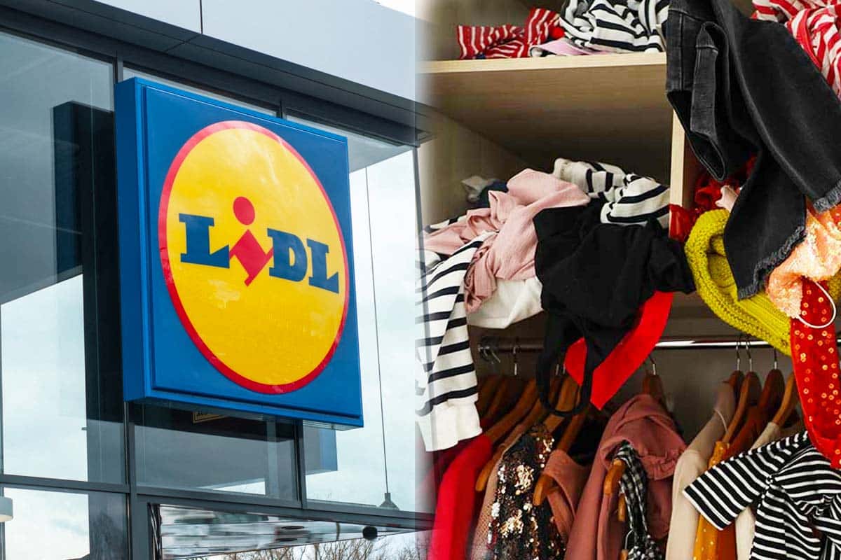 Lidl: fini les placards mal rangés ce nouvel organiser qui s’adapte à toute la maison, ranger vite et bien