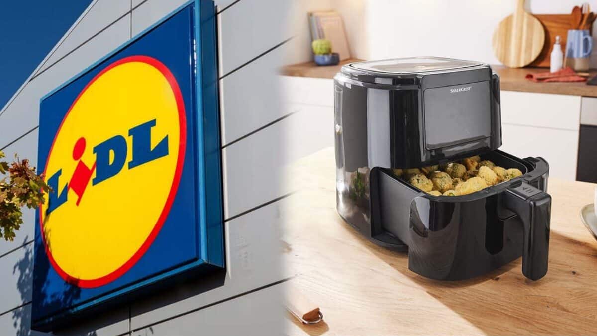 Lidl: fini les frites grasses avec cette nouvelle friteuse sans huile. Un bijou de technologie à prix mini