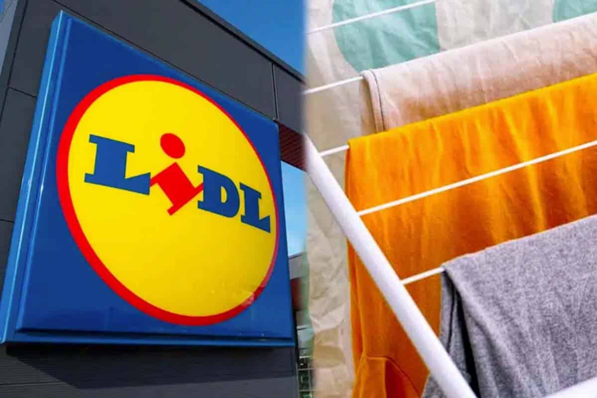 Lidl: terminé la corvée pour faire sécher le linge rapidement avec cette nouvelle ligne de produits performante à bas prix