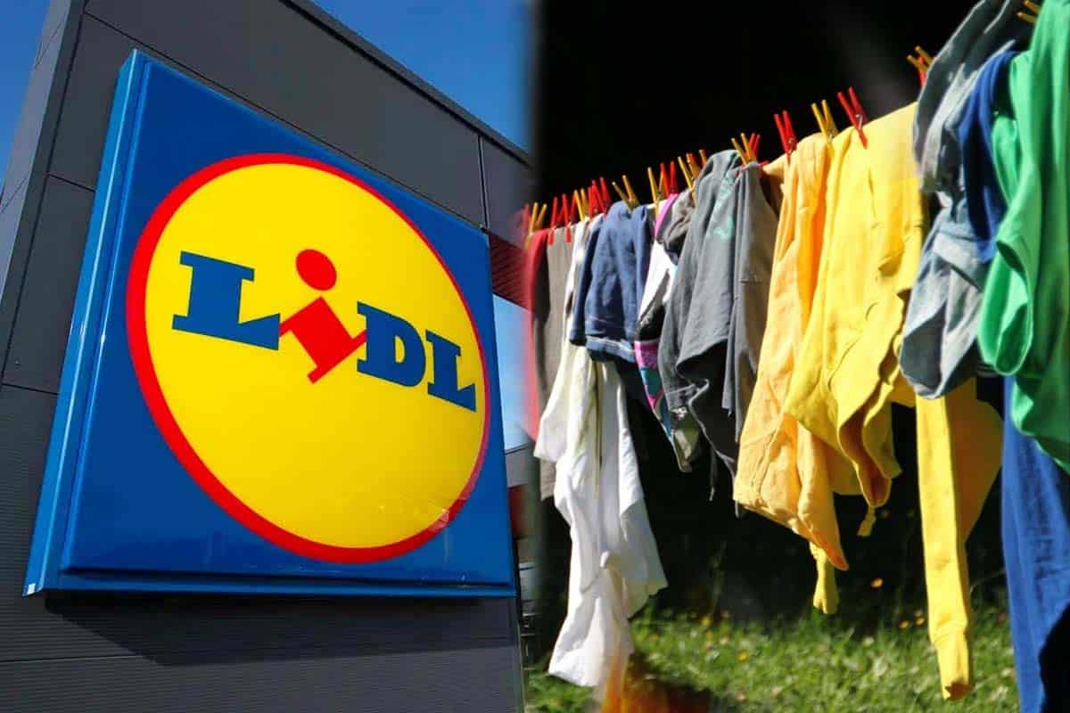 Lidl : fini la galère pour faire sécher votre linge avec cette nouvelle gamme unique à prix mini