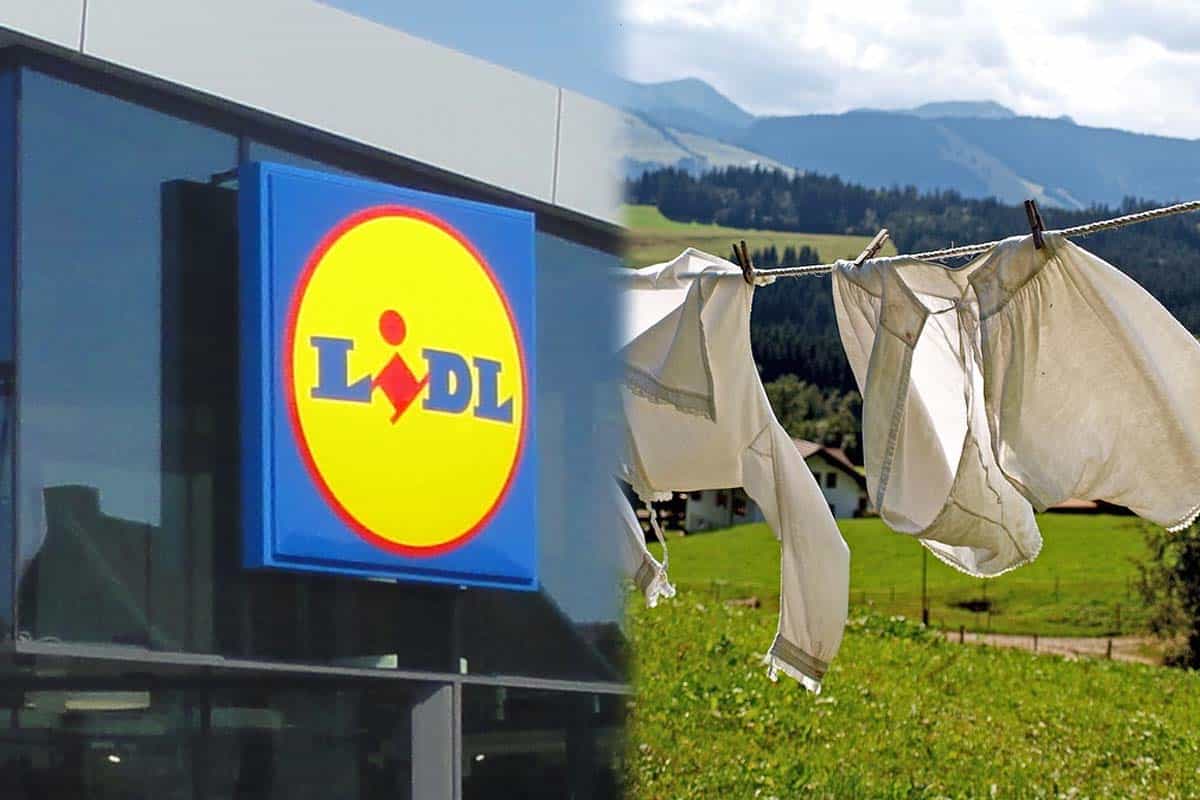 Lidl : terminé la galère pour faire sécher le linge l’hiver avec cette nouvelle ligne de produits innovants