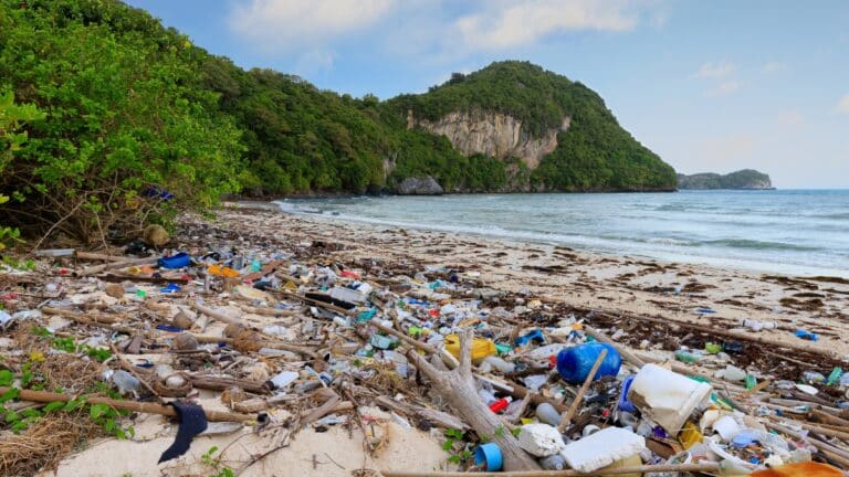 plage pollution